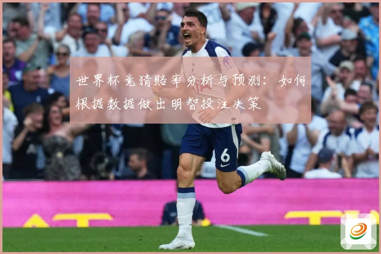 世界杯竞猜赔率分析与预测：如何根据数据做出明智投注决策