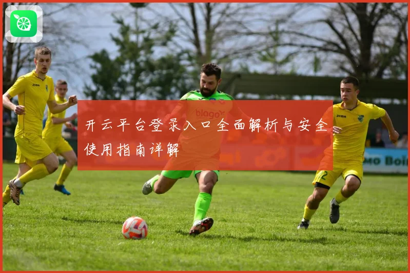 开云平台登录入口全面解析与安全使用指南详解