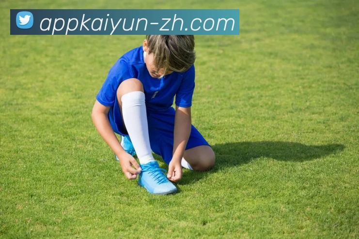 开云平台展示图